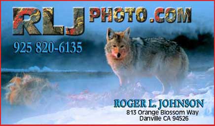 Stock Photography and Gallery of Collectors Edition Prints by Roger L. Johnson