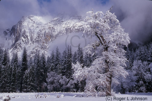 Yosemite National Park in winter, California