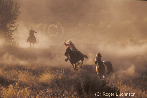 western cowboys and horses