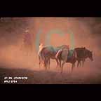 Horses at Roundup