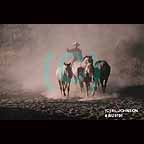 Cowboy and wild horses