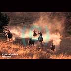 Cowboys rounding up wild horses