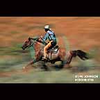 Cowboy on Horseback #2