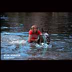 Girl on Horseback in water
