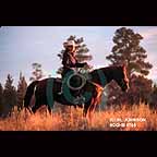 Portrait of Cowboy on Horse