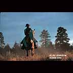 A Cowboy and his horse