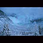 Winter storm in Yosemite National Park, California
