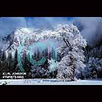 Cottonwood tree in winter - Yosemite National Park, California